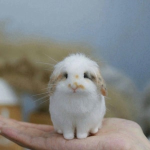 Custom Needle Felted Rabbit Figurine, Handmade Wool Bunny Sculpture, Realistic Bunny Memorial Gift, Custom 3D Pet Portrait