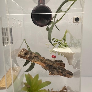 Jumping Spider Sphere Hide | Jumping Spider Hide | Spider Hide | Jumping Spider