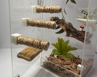 Jumping Spider Ledges | Twine Cat Post, Enclosure Accessories