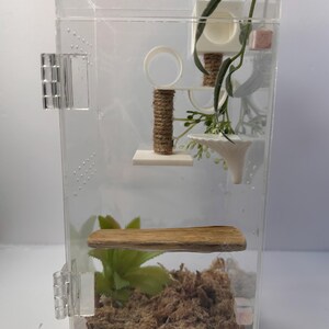 May include: A clear acrylic terrarium with a wooden platform, a small white platform, a white tube, a brown rope, and a white funnel. The terrarium is filled with brown moss and a green plant.
