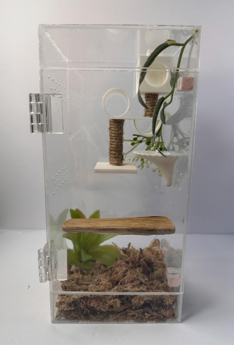 May include: A clear acrylic terrarium with a wooden platform, a small white platform, a white tube, a brown rope, and a white funnel. The terrarium is filled with brown moss and a green plant.