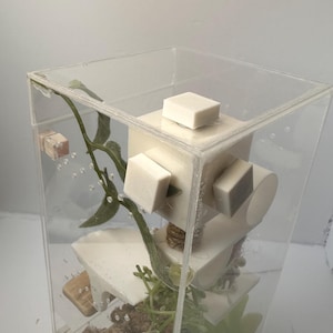 May include: A clear plastic terrarium with a white, multi-level structure inside. The structure is made of several white blocks and a small white platform. There is a green vine and a small green plant inside the terrarium. The bottom of the terrarium is filled with brown material.
