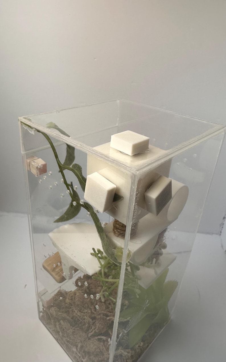 May include: A clear plastic terrarium with a white, multi-level structure inside. The structure is made of several white blocks and a small white platform. There is a green vine and a small green plant inside the terrarium. The bottom of the terrarium is filled with brown material.