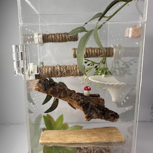 Jumping Spider Ledges | Twine Cat Post, Enclosure Accessories