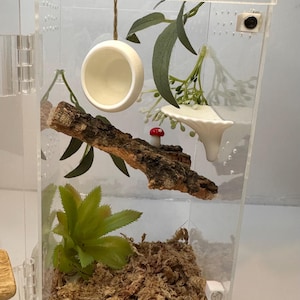 May include: A clear plastic terrarium with a small white ceramic bowl hanging from the top, a small white ceramic mushroom, a small red mushroom, a small green plant, and a brown branch. The terrarium is filled with brown moss.