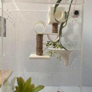 May include: A clear acrylic terrarium with a white cat tree, a white mushroom-shaped decoration, and green plants. The cat tree has a rope-wrapped post and a circular platform.