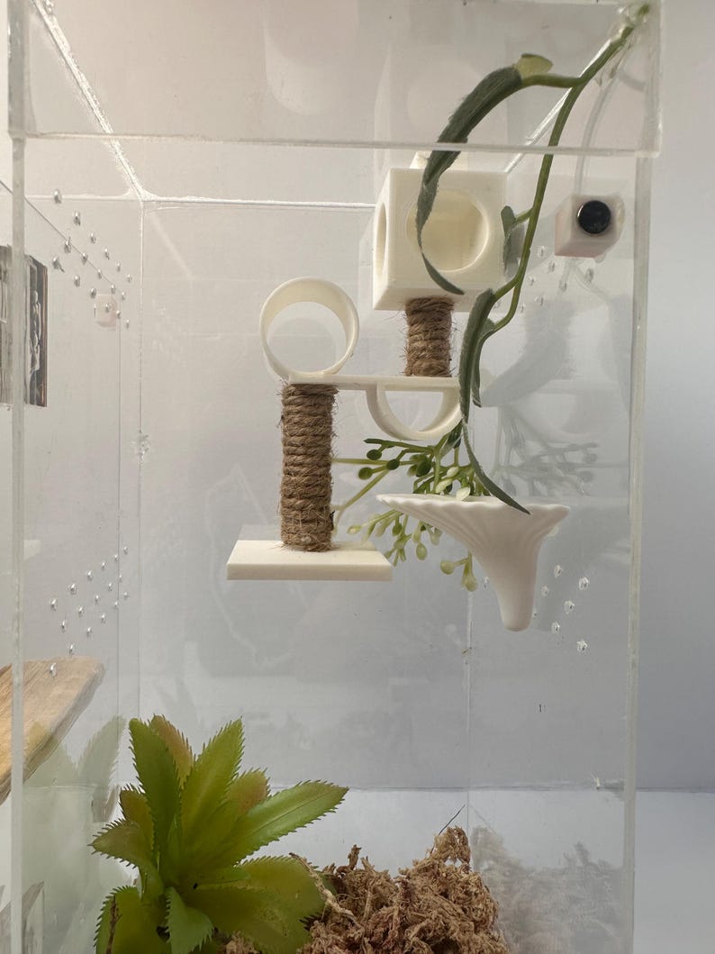 May include: A clear acrylic terrarium with a white cat tree, a white mushroom-shaped decoration, and green plants. The cat tree has a rope-wrapped post and a circular platform.
