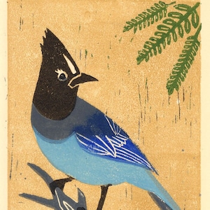 BLUEJAY, Bluebird, Lake Tahoe Jay, Bird Lover Gift Idea, Birdwatcher Gift Bird Art - Original Hand-Pulled Linocut Art Print 5 x 7