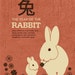 Year Of The Rabbit Poster Size Archival Print Zodiac Year: | Etsy