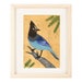 see more listings in the Birds section