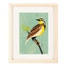 see more listings in the Birds section