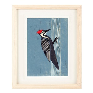 PILEATIERTE SPICHTE Linolschnitt Reproduktion Kunstdruck: 10 x 15,5 cm