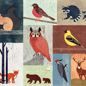 WOODLANDS ANIMALS Birds, Owl, Fox, Raccoon, Squirrel, Robin, Bear, Woodpecker, Colorful Collage Linocut Illustration Art Print 14 x 12 image 2