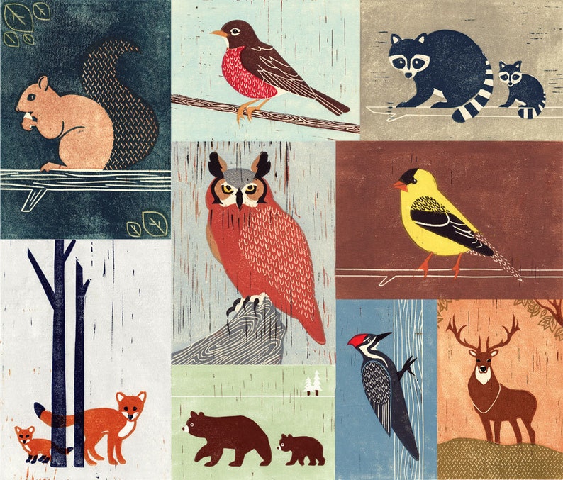 WOODLANDS ANIMALS Birds, Owl, Fox, Raccoon, Squirrel, Robin, Bear, Woodpecker, Colorful Collage Linocut Illustration Art Print 14 x 12 image 2