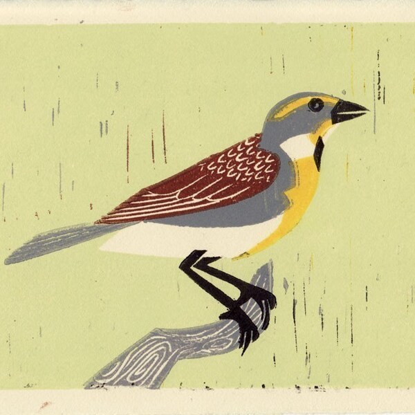 DICKCISSEL - Original Linocut Linocut Ilustración Bloque Impresión 5 x 7, Verde, Amarillo, Marrón, Pájaro, Naturaleza