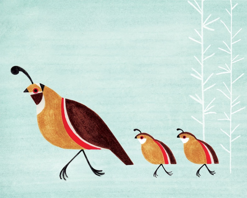 Quail Family Illustration Archival Art Print for Nursery - Etsy