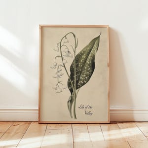 Impresión de flor de nacimiento de mayo de lirio de los valles, arte de pared botánico vintage