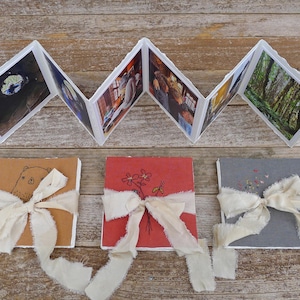 May include: Three handmade photo albums with different colored covers and white fabric ribbon closures. The covers are brown, red, and gray. Each cover has a simple hand-drawn design.