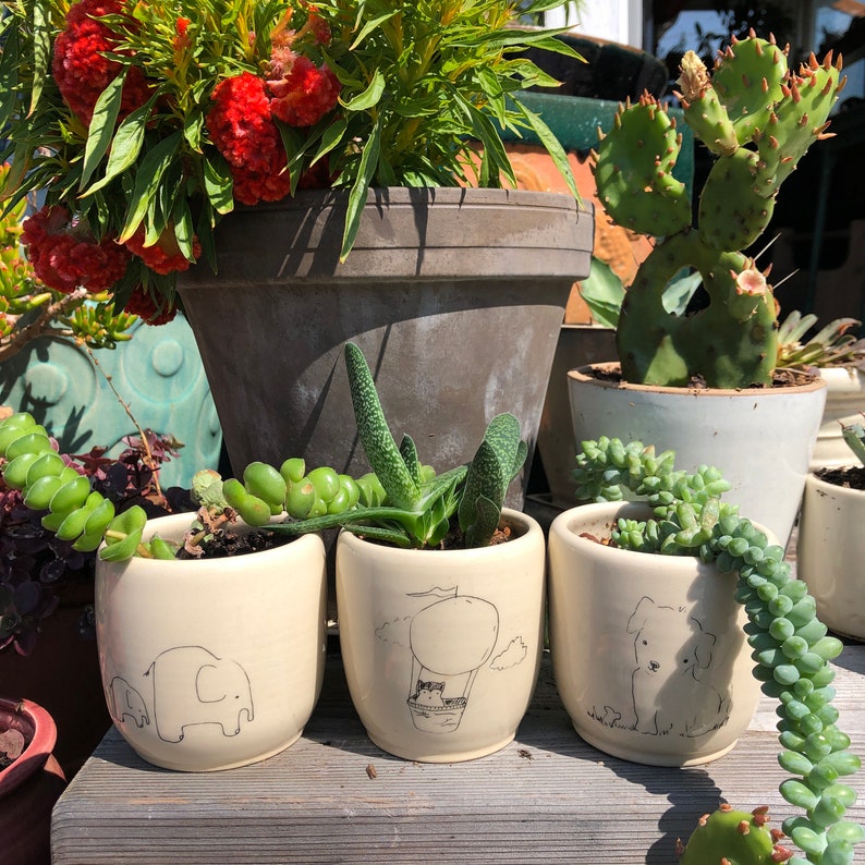 hummingbird by kata golda handmade ceramic cup or planter