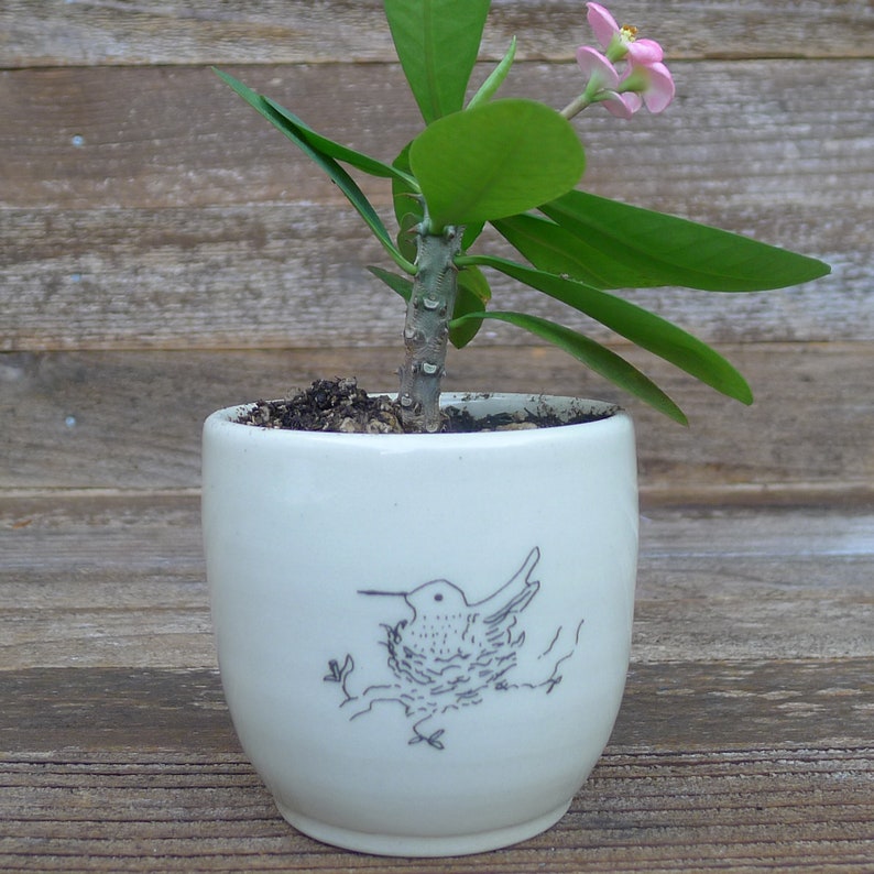 hummingbird by kata golda handmade ceramic cup or planter