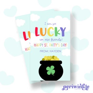 以下が含まれることがあります： 虹色の「LUCKY」の文字、金の壺、そして「こんなに幸運なことに、私たちは友達です！ハッピー・セント・パトリック・デー！ヘイデンより」というメッセージが書かれた、セント・パトリック・デーのカードです。