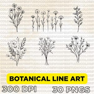 Clipart de arte lineal botánico minimalista / 30 elegantes PNG florales para diseño de tatuajes, papelería, logotipos, arte mural y descarga digital