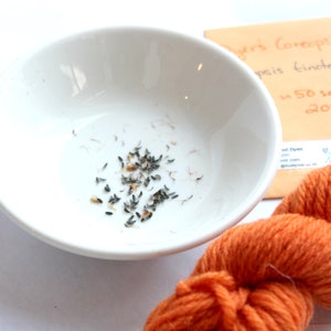 May include: A white bowl with a small pile of black seeds in the center. A packet of seeds labeled "Dyers Coreopsis  Coreopsis tinctoria  50 seeds 2019" and a ball of orange yarn are in the background.