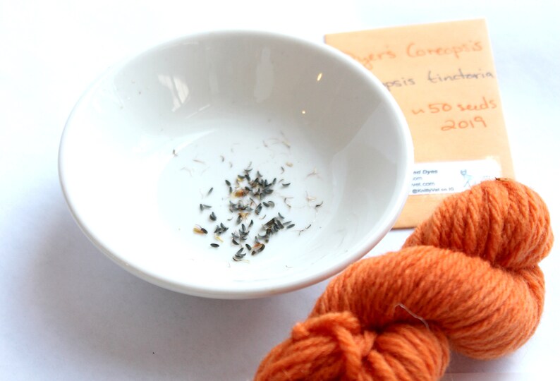 May include: A white bowl with a small pile of black seeds in the center. A packet of seeds labeled "Dyers Coreopsis  Coreopsis tinctoria  50 seeds 2019" and a ball of orange yarn are in the background.