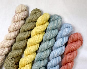 Plant Dyed Mini Skein Yarn Set of 6 Pastel Colors
