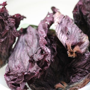 Dried Hibiscus Blossoms, Natural Dye Flowers (10gm)