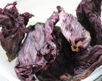 Dried Hibiscus Blossoms, Natural Dye Flowers (10gm)