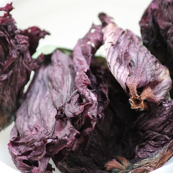 Dried Hibiscus Blossoms 10gm, Natural Dye Flowers, Dry Hardy Hibiscus, Organic Flowers for Dyeing, Natural Dye Supplies,  Plant Dye Blossoms