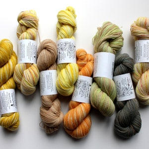 Naturally dyed yarn, mustard yellow yarn, fingering weight yarn, plant dyed yarn, hand painted yarn, shawl yarn, fall color yarn image 6