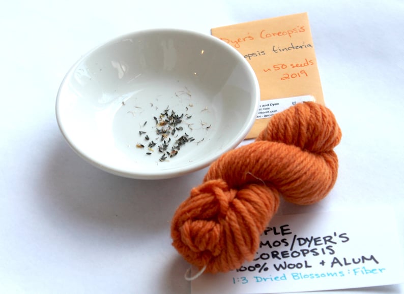 May include: A small white bowl with a scattering of dark brown seeds. Next to the bowl is a skein of orange yarn and a small envelope with the text "Byers Coreopsis, opsis tinctoria, 50 seeds, 2019". A white card with black text reads "PLE MOS/DYER'S COREOPSIS 100% WOOL + ALUM 1:3 Dried Blossoms: Fiber".