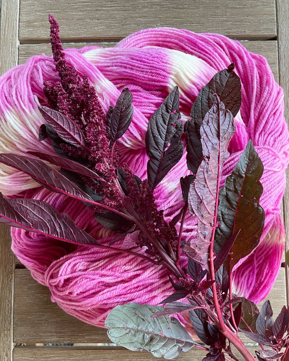 Hopi Red Dye Amaranth Seeds, Natural Pink Dye Plant, NonGMO