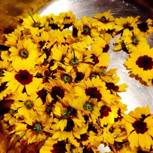 May include: A bowl filled with yellow and brown flowers. The flowers have a dark center and are arranged in a random pattern.
