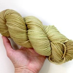 Naturally Dyed Yarn, Handdyed Worsted Yarn, Nature Dyed, Painted Knitting Wool, Worsted Hand dyed Yarn, Natural Crochet Yarn, Garden Yarn