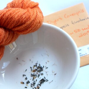 May include: A white bowl filled with small black seeds. A ball of orange yarn sits next to the bowl. A brown envelope with the text "Dyers Conceptsopsis tinctoria 50 seeds 2019" is in the background.