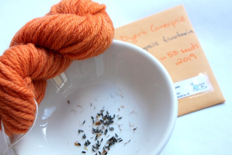 May include: A white bowl filled with small black seeds. A ball of orange yarn sits next to the bowl. A brown envelope with the text "Dyers Conceptsopsis tinctoria 50 seeds 2019" is in the background.