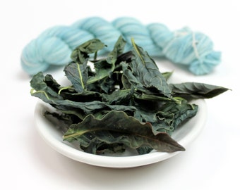 Dried Japanese Indigo 12.5gm, Natural Dye Materials, Organic Indigo Leaves, Natural Dye Supplies, Soapmaking Supplies, Persicaria tinctoria