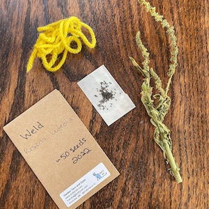 Weld Dyer's Rocket Seeds, Natural Yellow Dye Plant (100+ Seeds)