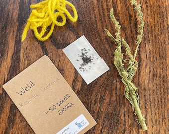 Weld Dyer's Rocket Seeds, Natural Yellow Dye Plant (100+ Seeds)