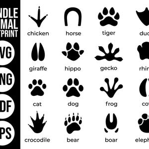 Animal Foot Print Svg Png, Animal Tracks SVG, FootPrints Svg, Wild Animals Foot Prints Svg, Footprint Svg Bundle, Hunting Svg, Silhouette