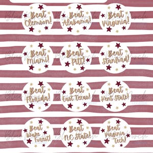 Florida State Gameday Buttons | FSU Gameday Pins