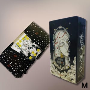 Carte dei Tarocchi dello Specchio Segreto della Divinazione/ Mazzo di Tarocchi in Versione Inglese/ Carte dei Tarocchi con Guida