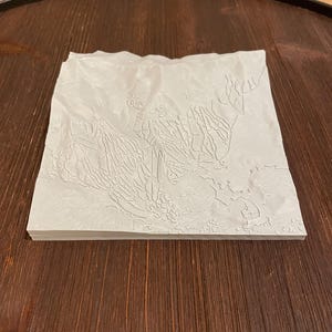 Breckenridge 3D Topographic Map | 3D Breckenridge Wall Art | 3D Print Terrain Map | Office Art