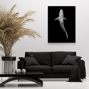 Fine Art Ocean Shark Canvas Print - Black and White Wildlife Animal Nature Canvas Night Fine Art Photography Wall Decor