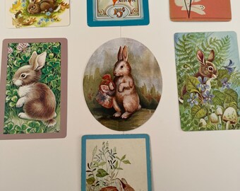 7 rabbits or bunnies playing cards