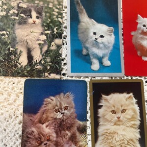 Op de afbeelding: Een verzameling vintage speelkaarten met katten. De kaarten tonen verschillende pluizige kittens in verschillende omgevingen, waaronder een kitten in een bloemenveld en kittens in een mand. De kaarten hebben een vintage esthetiek.