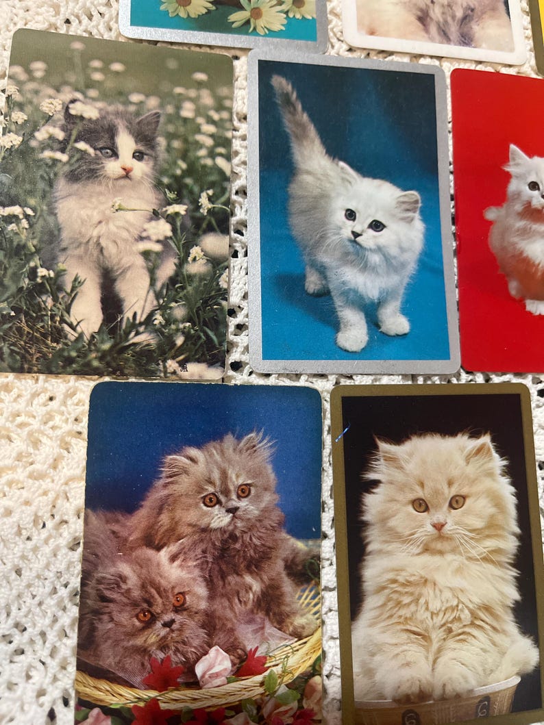 Op de afbeelding: Een verzameling vintage speelkaarten met katten. De kaarten tonen verschillende pluizige kittens in verschillende omgevingen, waaronder een kitten in een bloemenveld en kittens in een mand. De kaarten hebben een vintage esthetiek.